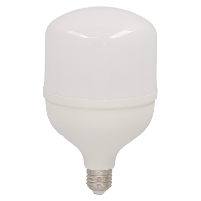 BOMBILLO PROW LED 30W 6500K